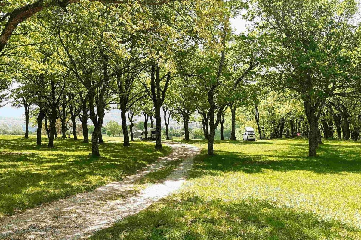 Grange Neuve campsite view of the land in the shade of the oaks