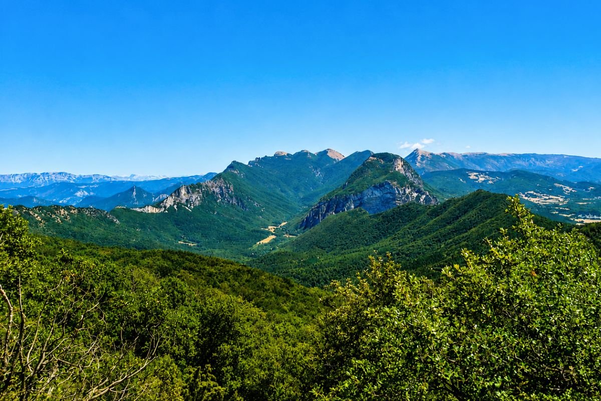 The Saoû Forest from the summit of the Trois Becs